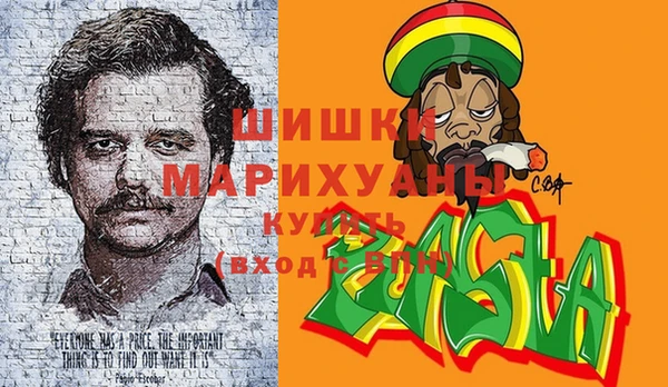 Альфа ПВП Няндома