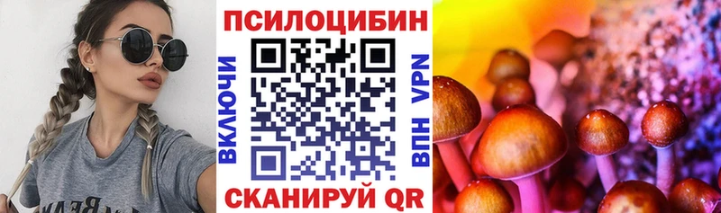 Псилоцибиновые грибы GOLDEN TEACHER  Новомичуринск 
